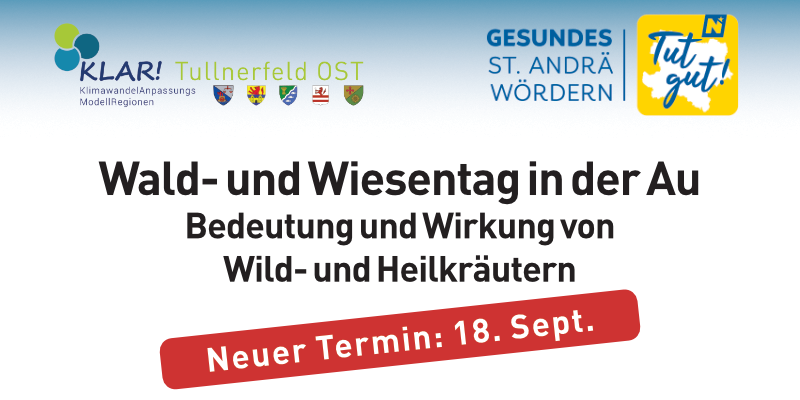 Wald_Wiesentag_Auwald