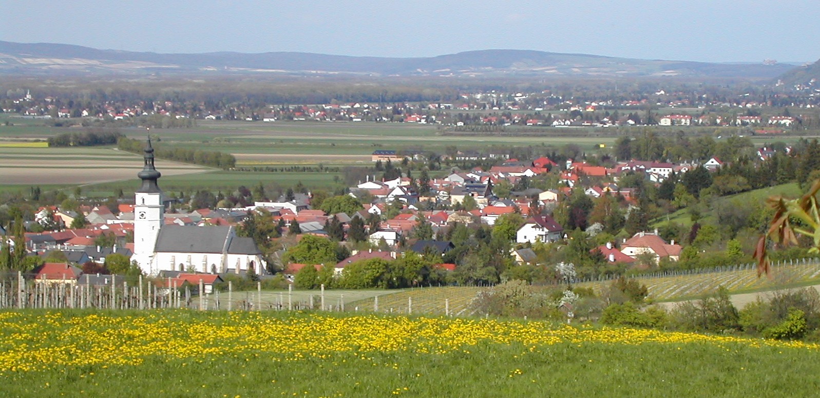 vom Riegelberg